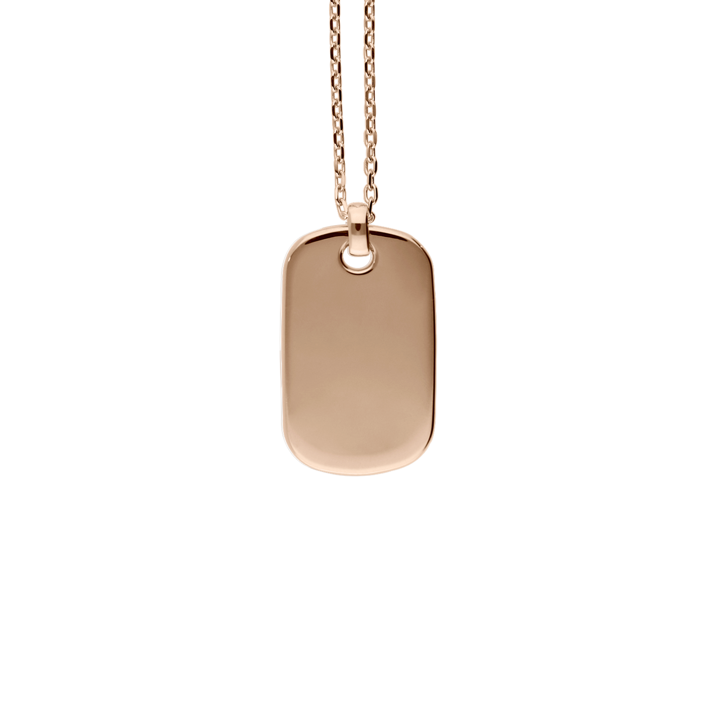 Bravetag Necklace F-G6351/W-R