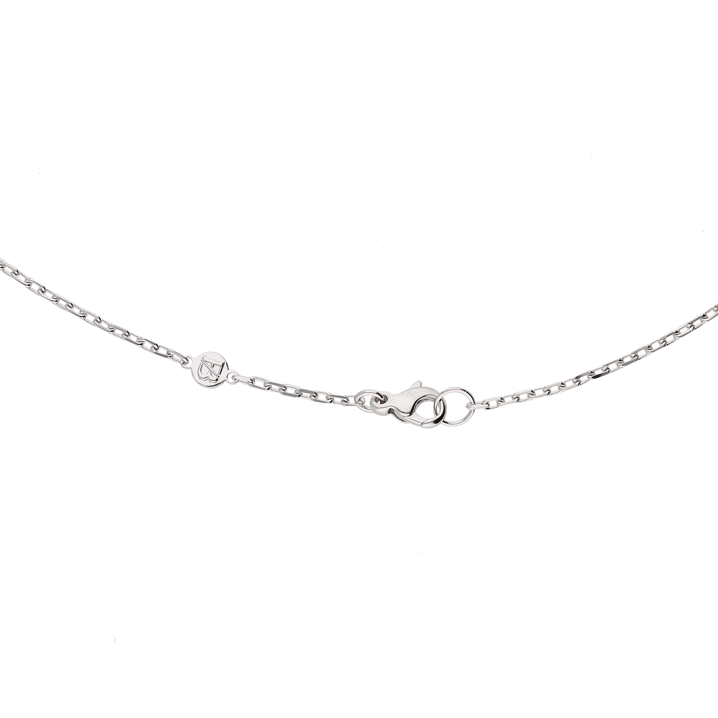 Bravetag Necklace F-G6352-W2