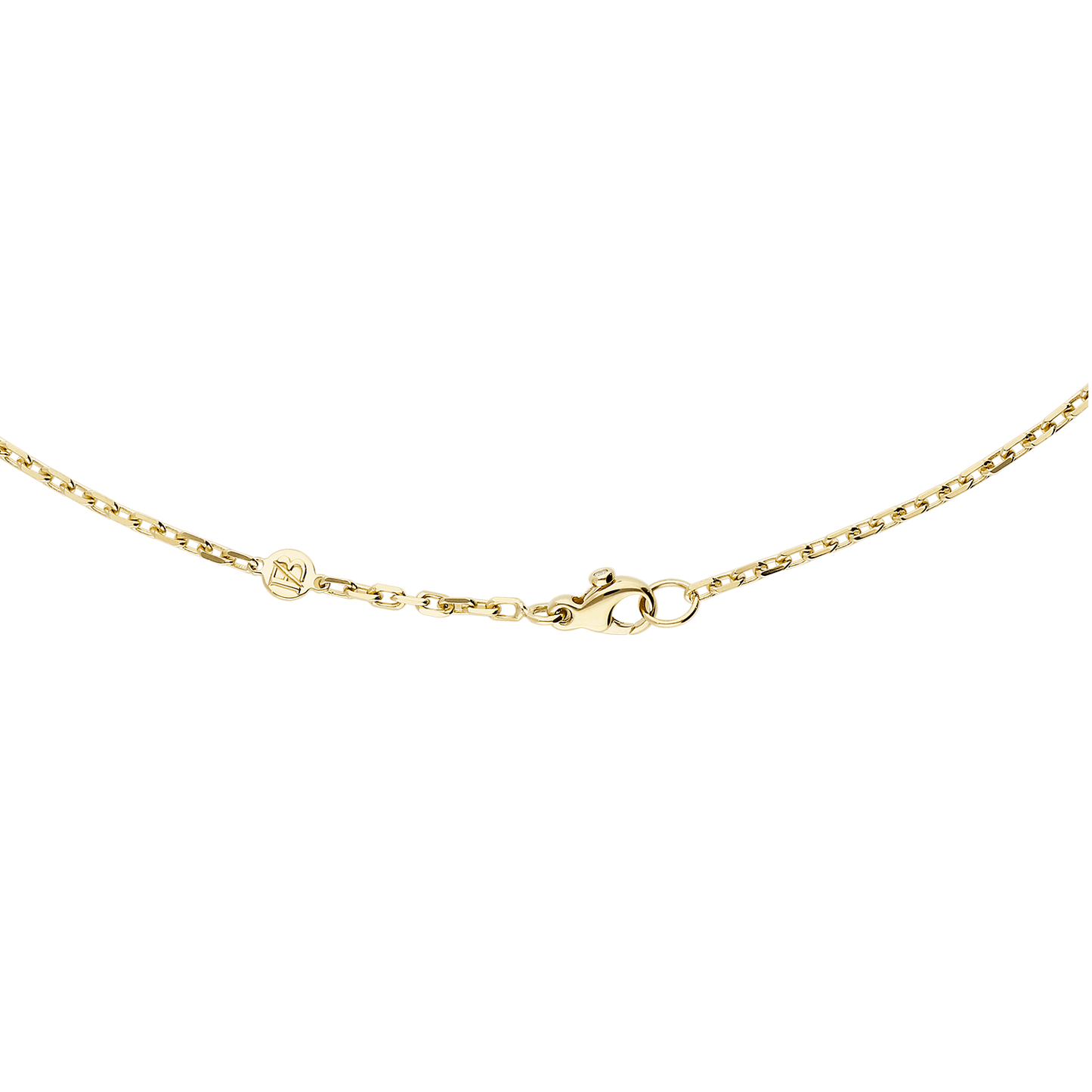 Bulletruth Necklace F-G8972/W-Y