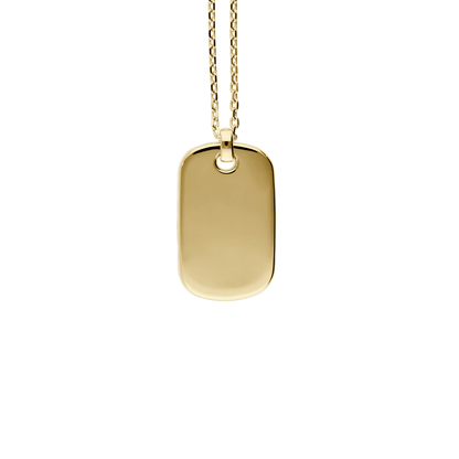 Bravetag Necklace F-G6351/W-Y