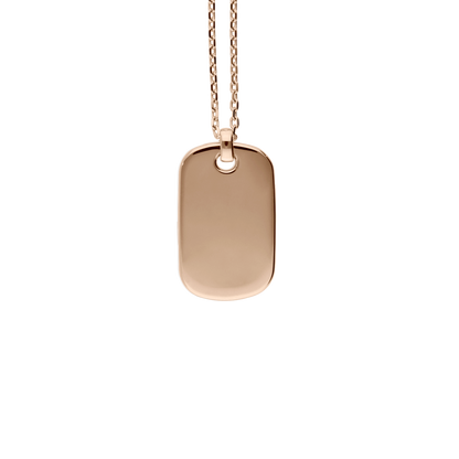 Bravetag Necklace F-G6351/W-R