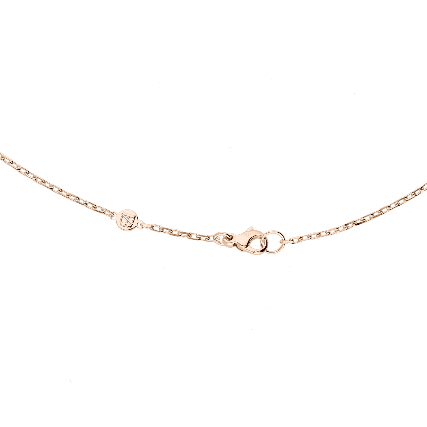 Bravetag Necklace F-G6352-R2