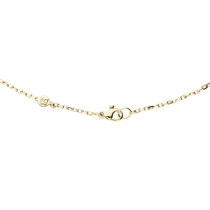 Bulletruth Necklace F-G8969/W-Y